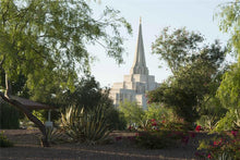 Load image into Gallery viewer, Gilbert Temple 14