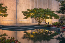 Load image into Gallery viewer, Portland Peaceful Gardens