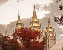 Load image into Gallery viewer, Salt Lake Temple 05
