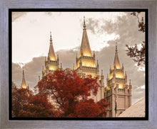 Load image into Gallery viewer, Salt Lake Temple 05