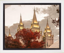Load image into Gallery viewer, Salt Lake Temple 05