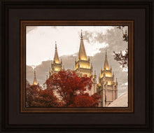 Load image into Gallery viewer, Salt Lake Temple 05