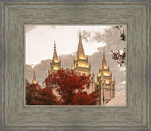Load image into Gallery viewer, Salt Lake Temple 05