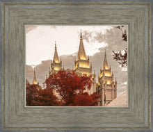 Load image into Gallery viewer, Salt Lake Temple 05