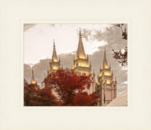 Load image into Gallery viewer, Salt Lake Temple 05