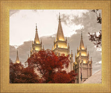 Load image into Gallery viewer, Salt Lake Temple 05