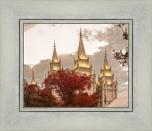 Load image into Gallery viewer, Salt Lake Temple 05