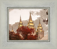 Load image into Gallery viewer, Salt Lake Temple 05