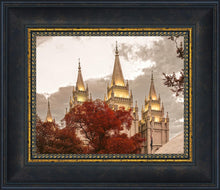 Load image into Gallery viewer, Salt Lake Temple 05