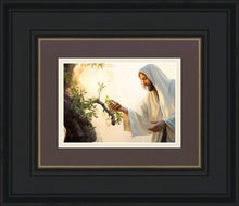 Load image into Gallery viewer, Dawn of The Harvest