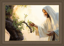 Load image into Gallery viewer, Dawn of The Harvest