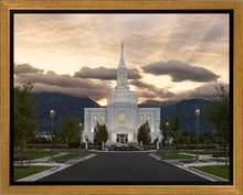 Load image into Gallery viewer, Orem Solstice Rays
