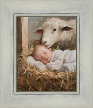 Load image into Gallery viewer, Humble Beginnings