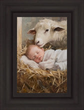 Load image into Gallery viewer, Humble Beginnings