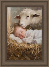 Load image into Gallery viewer, Humble Beginnings