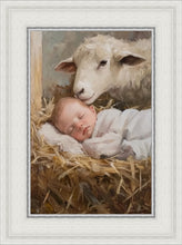 Load image into Gallery viewer, Humble Beginnings