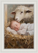 Load image into Gallery viewer, Humble Beginnings