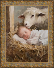 Load image into Gallery viewer, Humble Beginnings