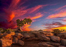 Load image into Gallery viewer, Moab Morning