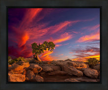 Load image into Gallery viewer, Moab Morning