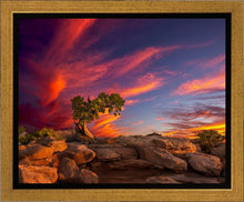 Load image into Gallery viewer, Moab Morning