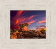 Load image into Gallery viewer, Moab Morning