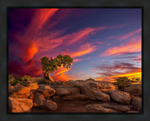 Load image into Gallery viewer, Moab Morning