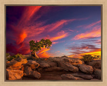 Load image into Gallery viewer, Moab Morning