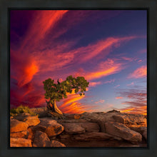 Load image into Gallery viewer, Moab Morning