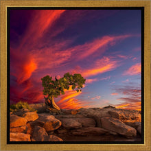 Load image into Gallery viewer, Moab Morning