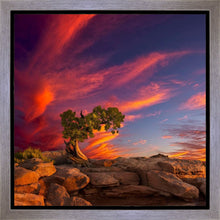 Load image into Gallery viewer, Moab Morning