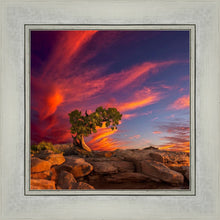 Load image into Gallery viewer, Moab Morning