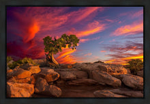 Load image into Gallery viewer, Moab Morning