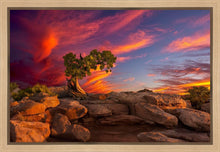 Load image into Gallery viewer, Moab Morning