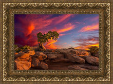 Load image into Gallery viewer, Moab Morning