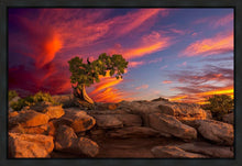 Load image into Gallery viewer, Moab Morning