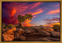 Load image into Gallery viewer, Moab Morning