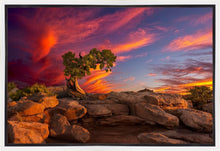 Load image into Gallery viewer, Moab Morning
