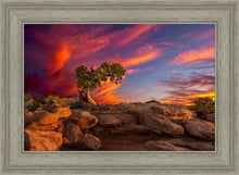 Load image into Gallery viewer, Moab Morning