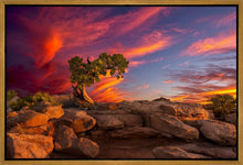 Load image into Gallery viewer, Moab Morning