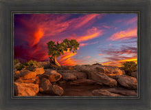 Load image into Gallery viewer, Moab Morning