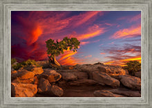 Load image into Gallery viewer, Moab Morning