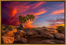 Load image into Gallery viewer, Moab Morning