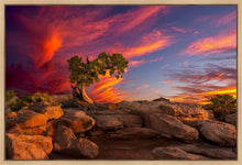Load image into Gallery viewer, Moab Morning