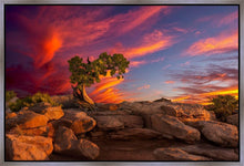 Load image into Gallery viewer, Moab Morning
