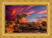 Load image into Gallery viewer, Moab Morning