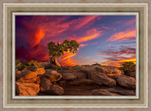 Load image into Gallery viewer, Moab Morning