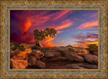 Load image into Gallery viewer, Moab Morning