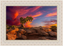 Load image into Gallery viewer, Moab Morning