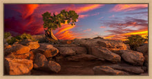 Load image into Gallery viewer, Moab Morning